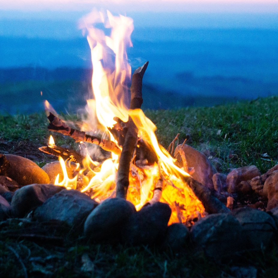 timon-wanner-1539757-unsplash